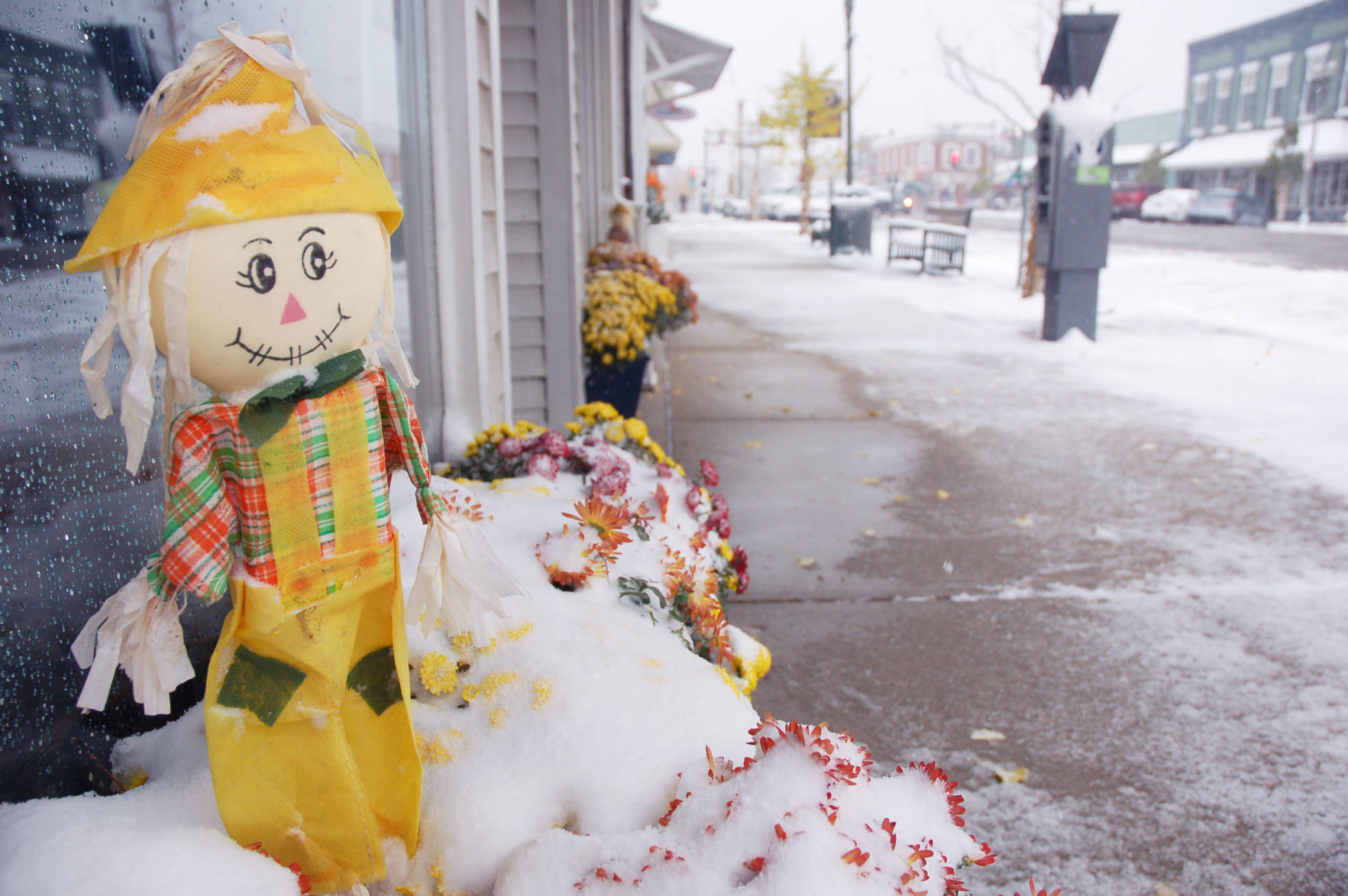 Halloween snowstorm - 1
